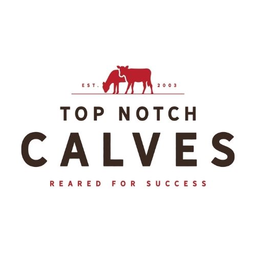 Top Notch Calves