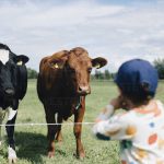 Rural Sales Training Australia